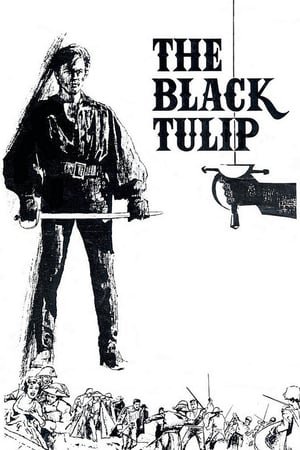 შავი ტიტა  / shavi tita  / The Black Tulip