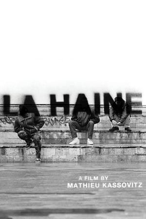 სიძულვილი / La Haine