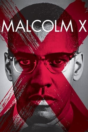 მალკოლმ X  / malkolm X  Malcolm X