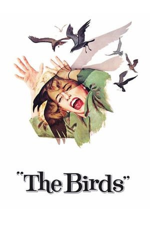 ჩიტები / The Birds
