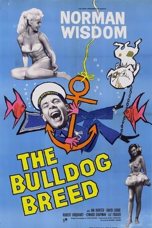 მისტერ პიტკინი: ბულდოგის ჯიში  / mister pitkini: buldogis jishi  / The Bulldog Breed