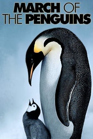 საიმპერატორო პინგვინების მარში  / saimperatoro pingvinebis marshi  / March of the Penguins