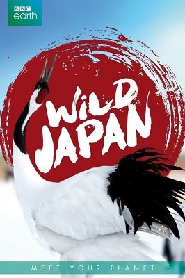 ველური იაპონია  / veluri iaponia  / Wild Japan
