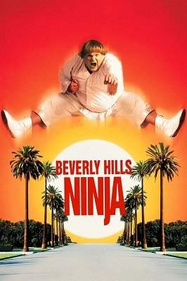 ნინძა ბევერლი ჰილზიდან  / nindza beverli hilzidan  / Beverly Hills Ninja
