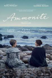 ამონიტი / Ammonite
