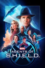 შილდის აგენტები  / shildis agentebi  / Marvel's Agents of S.H.I.E.L.D.