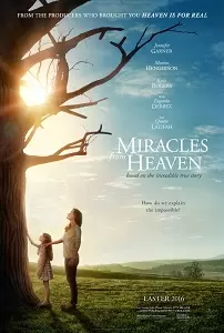 სასწაული ზეციდან / Miracles from Heaven