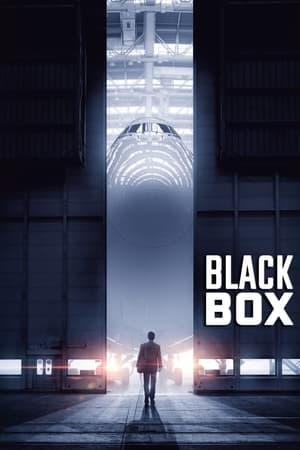 შავი ყუთი ქართულად / shavi yuti qartulad / Black Box