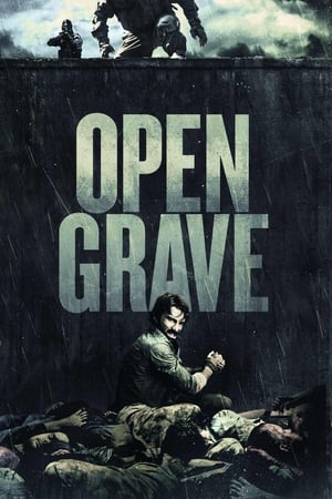 ღია საფლავი / Open Grave