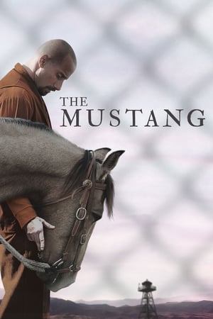 მუსტანგი | The Mustang